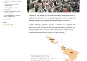 Holly&Stick Proyecto -