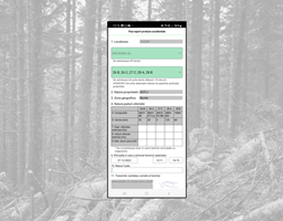 APPFORTE Proyecto - Oro Verde