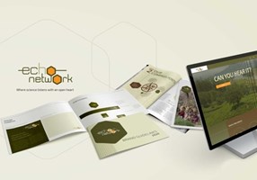 Tea & Oranges Design Proyecto -