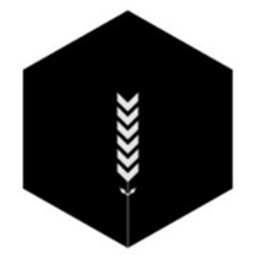 Contversion logotipo
