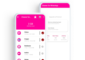 Boxinall Proyecto -