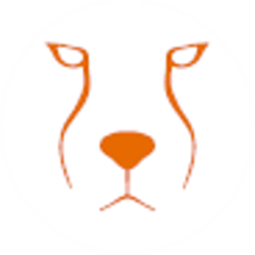 Acinonyx Web Agency logotipo