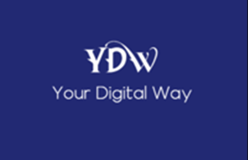 Your Digital Way - Best SEO & Web Experts in USA logotipo