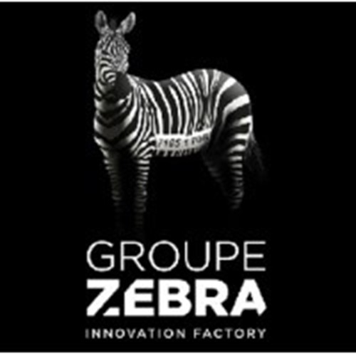 Groupe Zebra logotipo