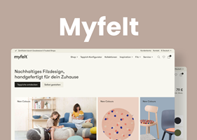 Dinarys GmbH Proyecto - Myfelt