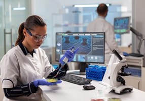 Softacom Proyecto -