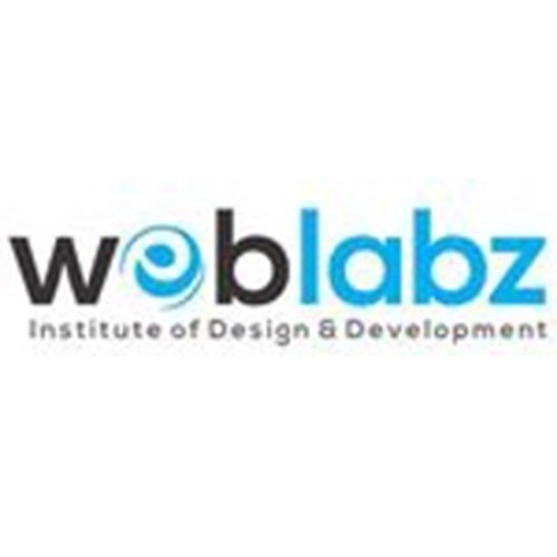 ||+91-9990013009|| Best Web Development Services Company Agency In Faridabad, Near Me logotipo