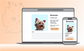 Chudovo OÜ Proyecto - Software para protectoras de animales