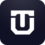 DesignTribe Logo
