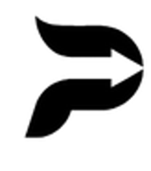 Premium Infographics logotipo