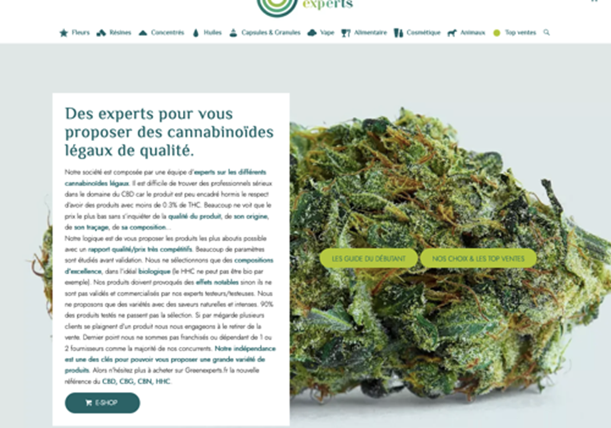  - Green Experts