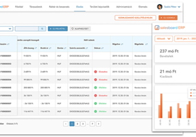 SCALER Software Solutions Proyecto -