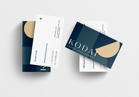 Concentric Design Proyecto -