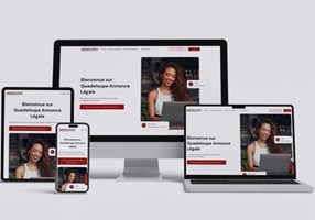 IDNET Proyecto -