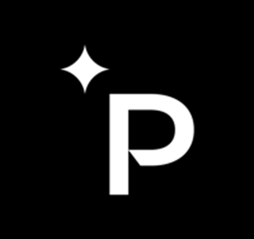 Paradigm logotipo