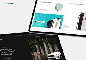 Creative Mules Proyecto -