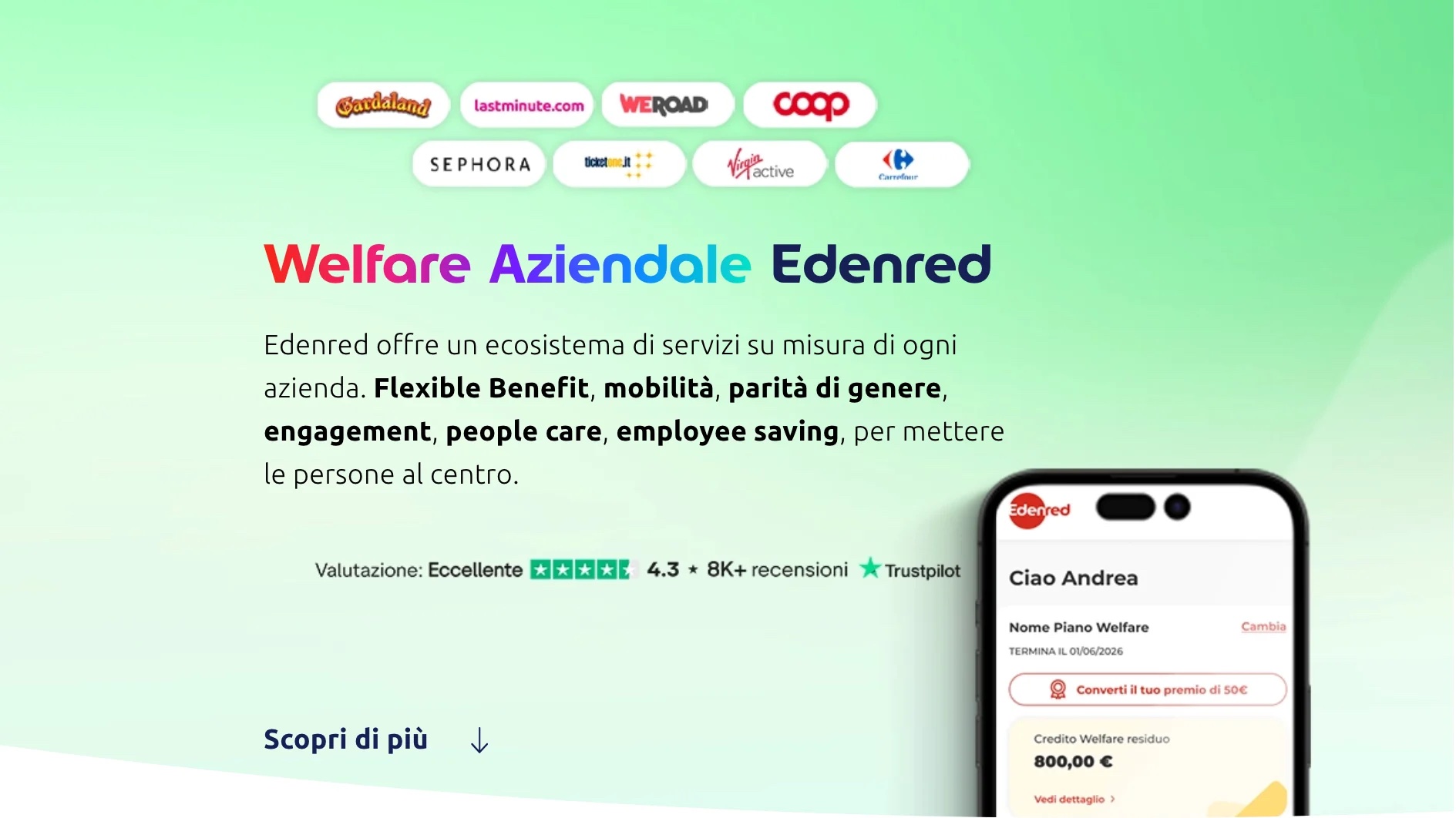Studio Mate Web S.L. Proyecto - Plugin de vales Edenred para comercio electrónico