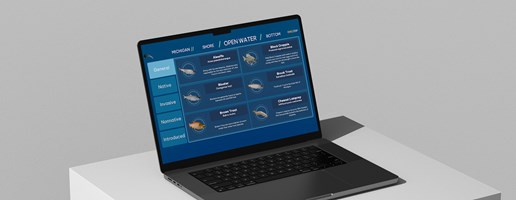Vention Proyecto - Cranbrook Institute: quiosco interactivo basado en Unity