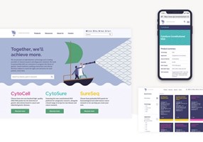 UP THERE, EVERYWHERE Proyecto -