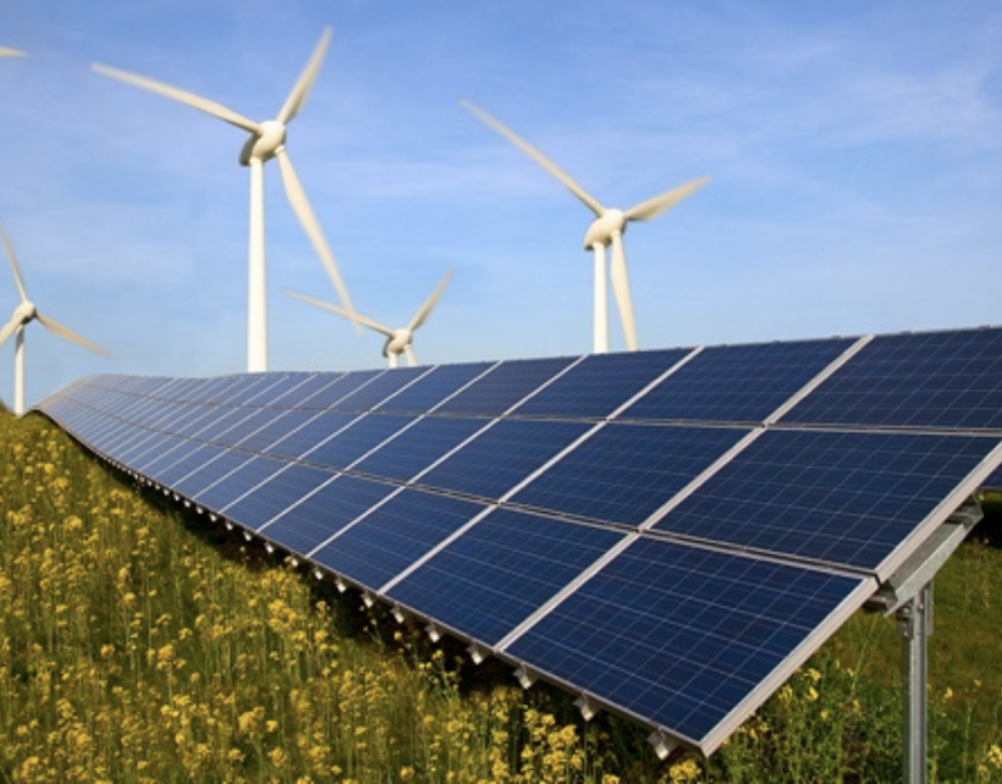 App EcoSubsidy: impulso a las iniciativas verdes