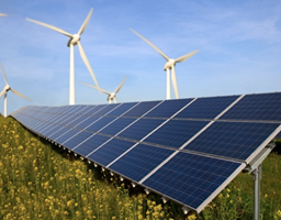 Solway Proyecto - App EcoSubsidy: impulso a las iniciativas verdes