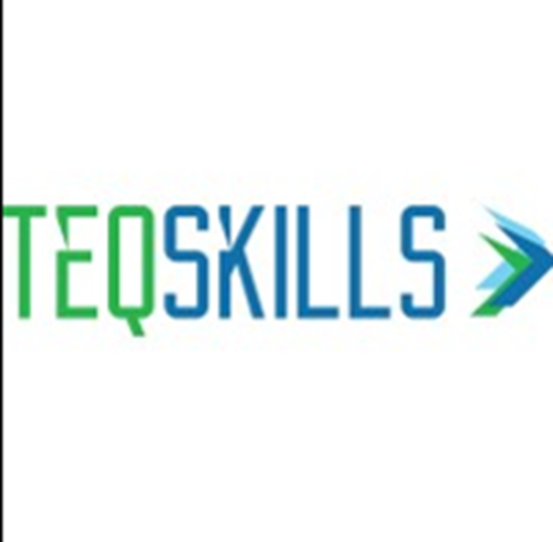 TEQSKILLS logotipo