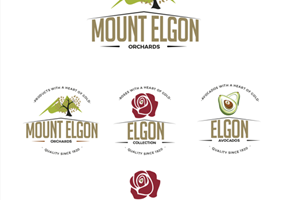 PigWorks Proyecto -