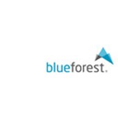 blueforest Design. Medien Logo
