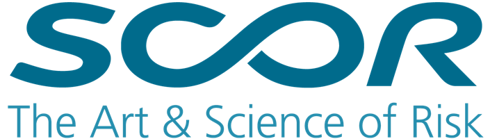 Galde Proyecto - Socio interino de datos