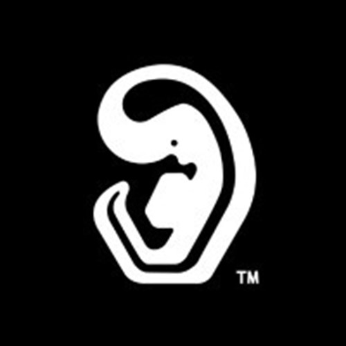 Chordata Motion logotipo