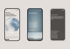 The Brink Agency Proyecto -