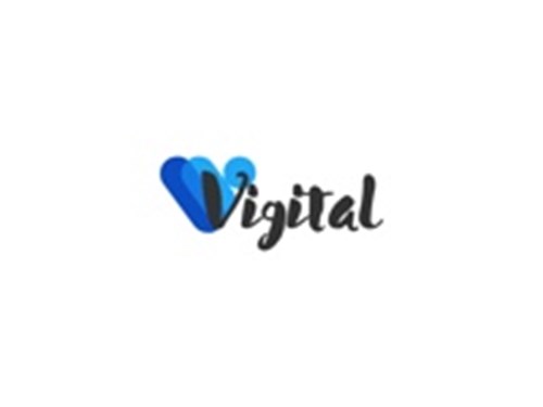 Vigital Inc logotipo
