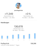 SKYLL GmbH Proyecto - Cuenta de Instagram