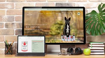 PulseConnect UG Proyecto - Migración de la tienda online a Shopify