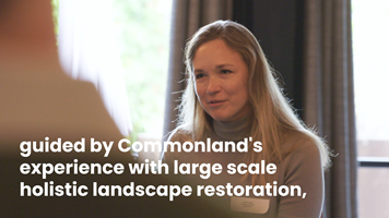 Dutch Picture Industry Proyecto - Laboratorio web bioregional