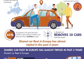 Premium Infographics Proyecto -