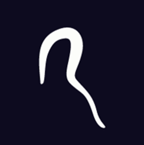 Rubicon Video Service logotipo