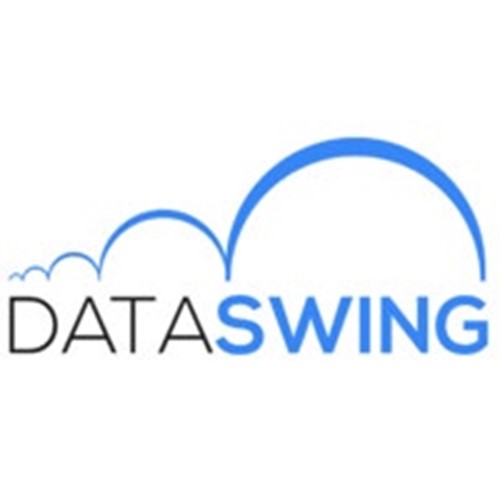 DATA SWING logotipo