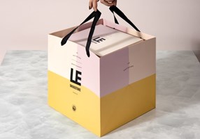 Design & Practice Proyecto -