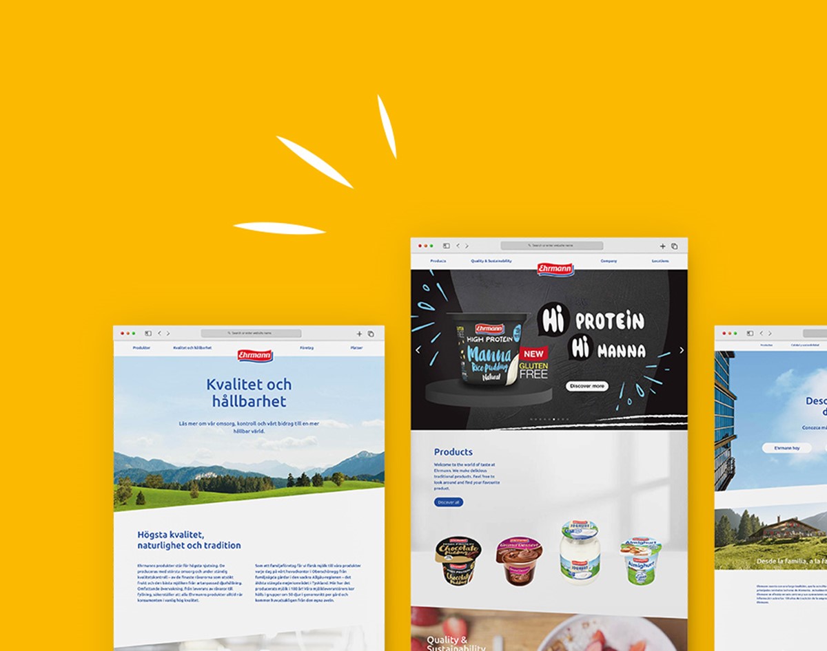 Lanzamiento de la web