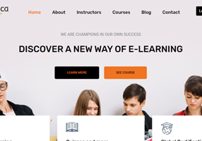 Ambiguous Solution Pvt. Ltd. Proyecto -