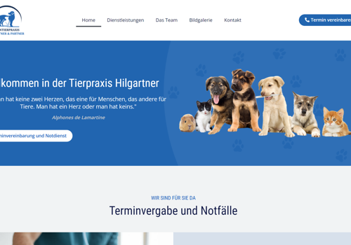 MS WEBDESIGN Proyecto -
