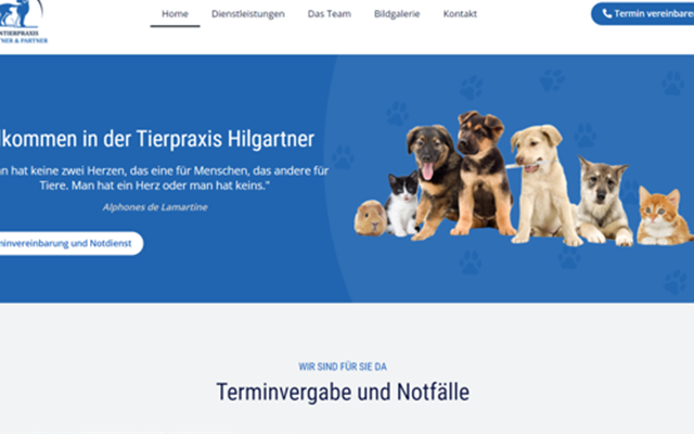 MS WEBDESIGN Proyecto -
