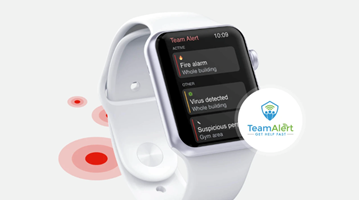 Boldare Proyecto - Del MVP al encaje producto-mercado: transformación de la app TeamAlert