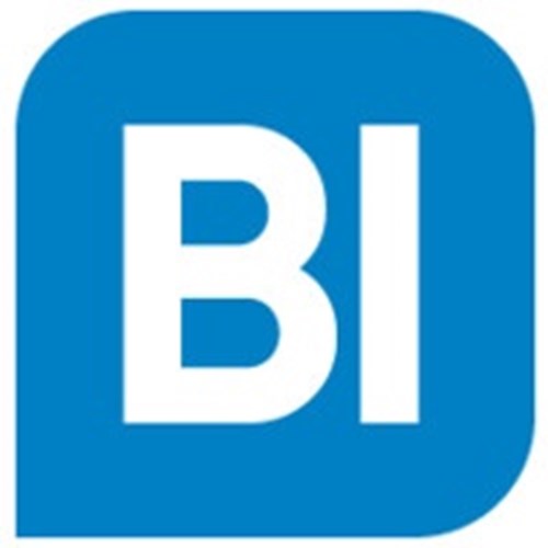 Best In BI Solutions, SL logotipo