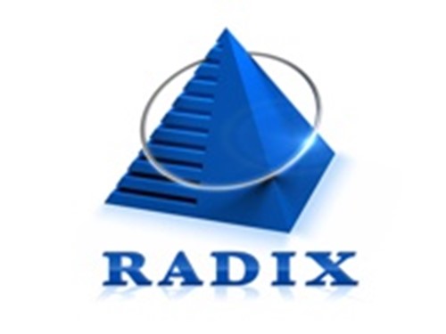 Radixweb logotipo