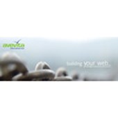 avevita internet service Logo