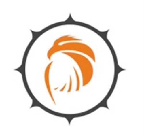 Pattronize InfoTech logotipo