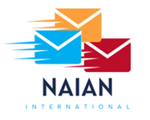 Naian International logotipo