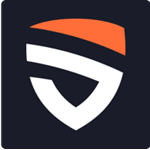 New Paradigm Security Logo